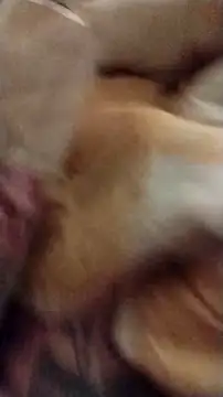 fukurbutt online show from December 1, 2025, 11:22 am