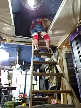 cdressupdiva online show from February 12, 2025, 11:40 am