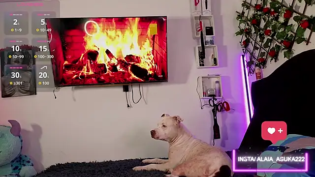 Alaia Asuka online show from October 3, 2025, 12:25 am