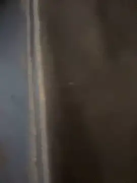 haddy ss online show from November 15, 2025, 8:02 pm