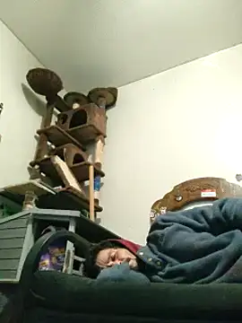 LongDickZee562 online show from January 31, 2025, 9:16 am