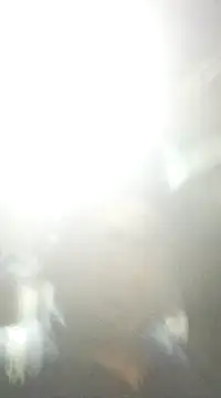 ssamit0808 online show from February 10, 2025, 7:17 pm