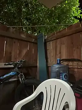 Snapshot of MrDickUdown24_7 chatting on February 21, 2025, 6:29 am MrDickUdown24 7 online show from February 21, 2025, 6:29 am