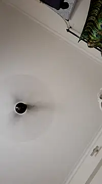 findmemylove online show from January 10, 2025, 10:46 pm