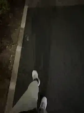 Tkcqcc online show from February 15, 2026, 9:30 am