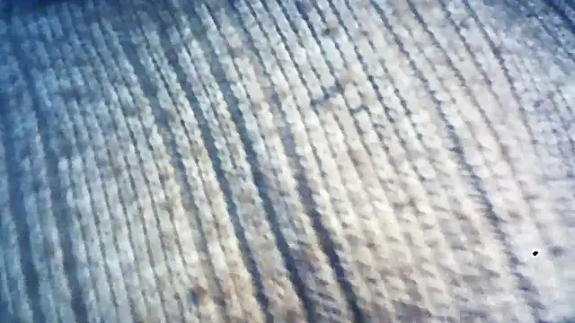 wedge75 online show from December 5, 2024, 2:28 pm