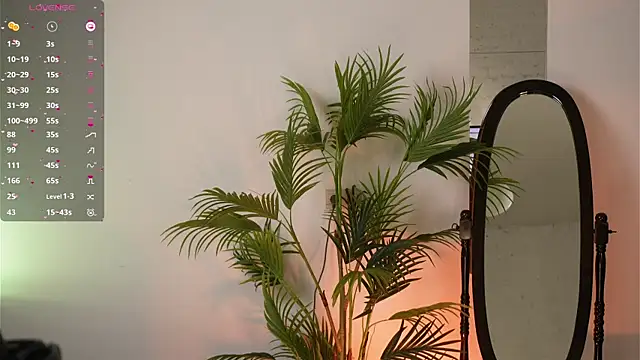 c shark online show from February 27, 2025, 12:36 am