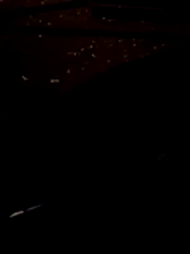 Snapshot of FeloBad chatting on July 14, 2026, 3:11 am FeloBad online show from July 14, 2026, 3:11 am