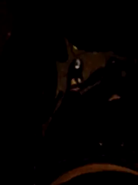 FeloBad online show from May 26, 2026, 3:37 am