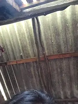 HotSexyBoudi online show from September 9, 2025, 9:30 am