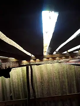 HotSexyBoudi online show from September 29, 2025, 8:43 am