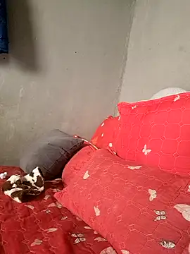 Petrossa online show from January 13, 2026, 11:47 am