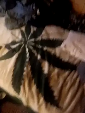 ySqmbVanbe online show from October 10, 2025, 2:34 am