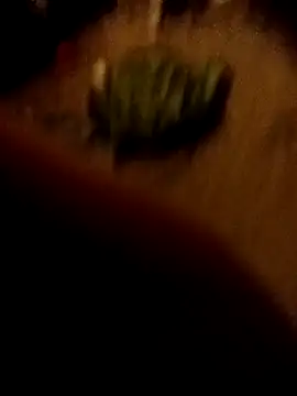 Snapshot of ySqmbVanbe chatting on February 16, 2026, 1:37 am ySqmbVanbe online show from February 16, 2026, 1:37 am