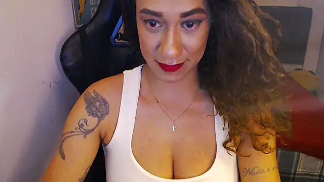 gauchinhaG online show from November 4, 2025, 11:52 pm