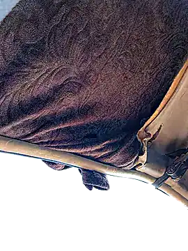 FloppyPickle4u online show from January 19, 2026, 4:11 pm