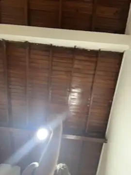 Snapshot of emiss_ chatting on December 16, 2025, 4:22 pm emiss online show from December 16, 2025, 4:22 pm