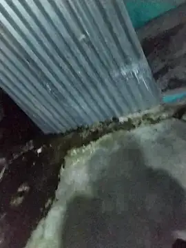 El pito online show from September 25, 2025, 5:57 am