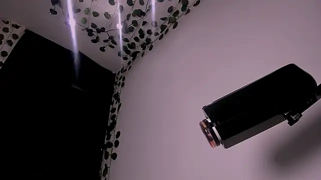 Young laroi online show from February 19, 2025, 8:12 am