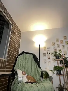 6nalanie online show from December 14, 2024, 12:44 am