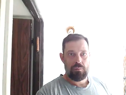 zefside42 online show from November 17, 2025, 11:03 am