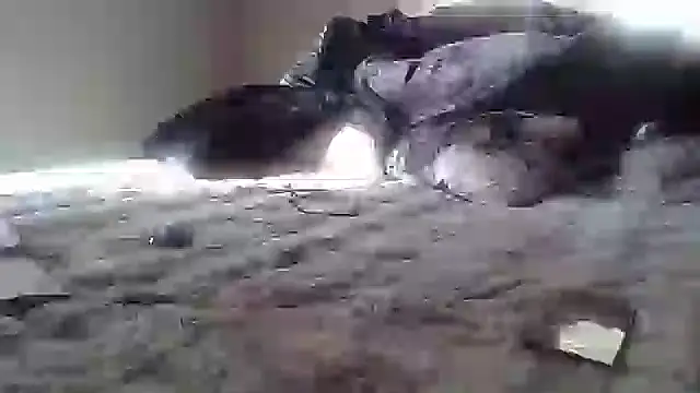 cassieleeknight11 online show from January 17, 2025, 2:39 pm