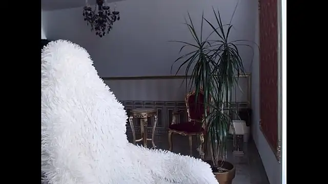 Snapshot of eyesangel22 chatting on February 22, 2025, 11:46 am eyesangel22 online show from February 22, 2025, 11:46 am