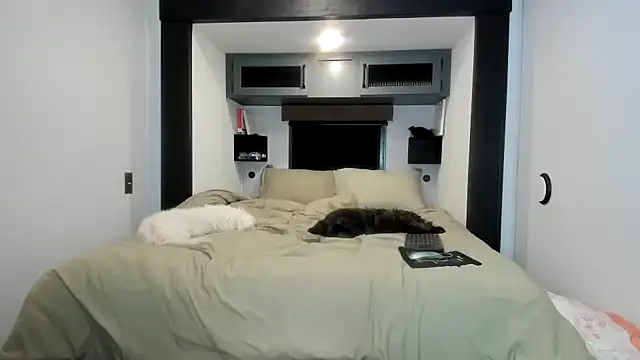 Persiasparadise online show from December 18, 2025, 2:16 am