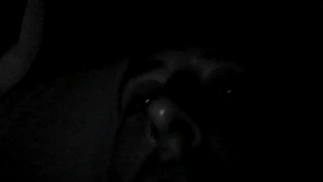 breedyouraw40 online show from January 12, 2026, 12:45 pm