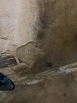 Snapshot of s1437jdjjddjjshbx chatting on March 9, 2025, 9:35 am s1437jdjjddjjshbx online show from March 9, 2025, 9:35 am