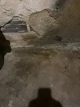 Snapshot of s1437jdjjddjjshbx chatting on March 5, 2025, 5:29 am s1437jdjjddjjshbx online show from March 5, 2025, 5:29 am