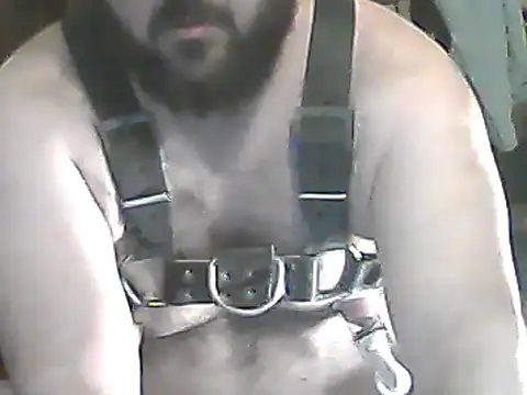 Snapshot of Zerd0 chatting on August 1, 2026, 5:38 am Zerd0 online show from August 1, 2026, 5:38 am
