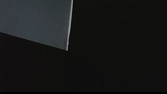 Snapshot of bulguehot chatting on September 10, 2025, 1:48 am bulguehot online show from September 10, 2025, 1:48 am