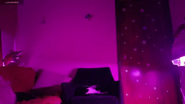 maryberry   online show from April 18, 2026, 4:37 am