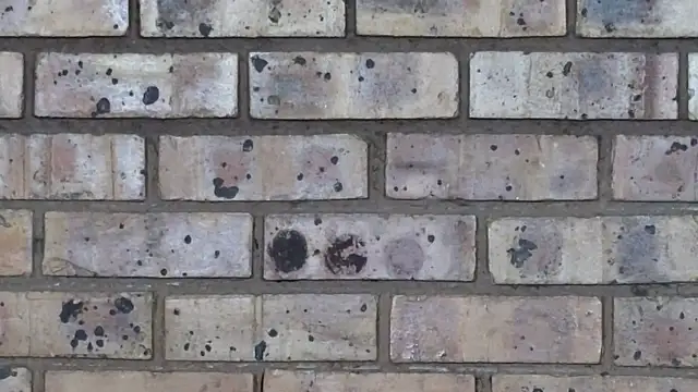 Astoria Moon online show from February 10, 2025, 1:11 pm