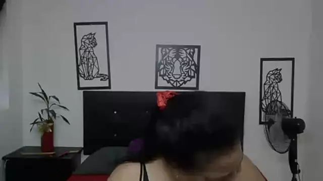 Snapshot of Shanttal0272 chatting on November 28, 2025, 2:50 pm Shanttal0272 online show from November 28, 2025, 2:50 pm