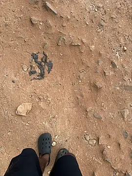 Snapshot of Black-mamba-madingo chatting on September 12, 2025, 10:37 am Black-mamba-madingo online show from September 12, 2025, 10:37 am