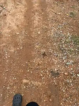 Snapshot of Black-mamba-madingo chatting on March 29, 2026, 2:08 pm Black-mamba-madingo online show from March 29, 2026, 2:08 pm