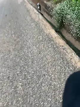 Snapshot of Black-mamba-madingo chatting on April 16, 2026, 6:14 am Black-mamba-madingo online show from April 16, 2026, 6:14 am