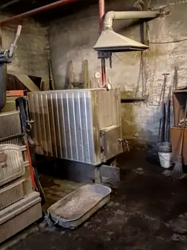 MityaXLoves online show from April 17, 2026, 6:44 pm