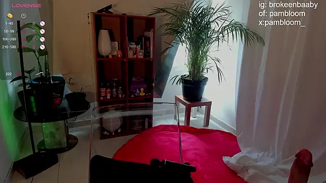 droolingdollfacee online show from February 26, 2025, 4:38 pm