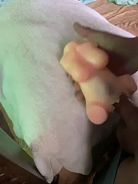 anonimotarado12 online show from October 9, 2025, 10:05 am