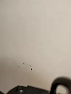 Snapshot of AvaLloyd chatting on February 20, 2026, 6:19 am AvaLloyd online show from February 20, 2026, 6:19 am