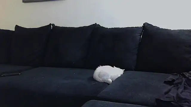 CrystalLakeXO online show from October 23, 2025, 4:55 am