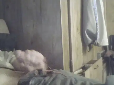 Snapshot of Irishman9077 chatting on September 25, 2025, 4:18 am Irishman9077 online show from September 25, 2025, 4:18 am