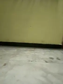 boypussyfist online show from February 15, 2025, 6:33 pm