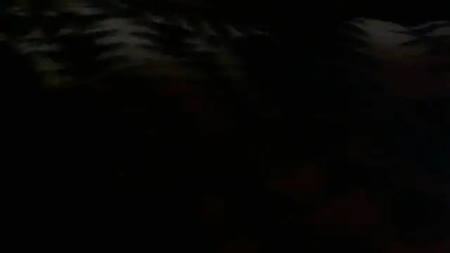 Jacknjimmyjohn online show from August 2, 2026, 9:51 am