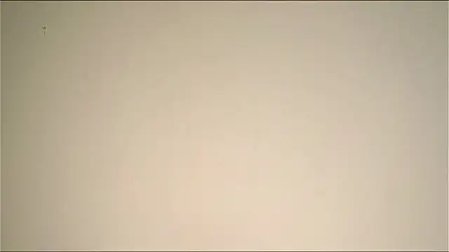 Elation Evy online show from March 19, 2026, 1:38 am