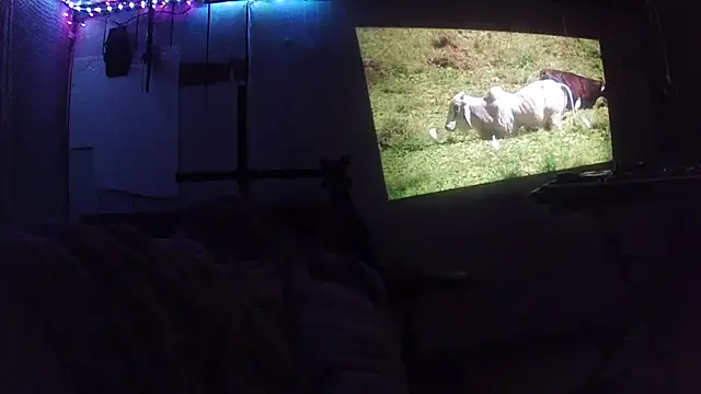 jaxx12369 online show from February 28, 2026, 6:35 am