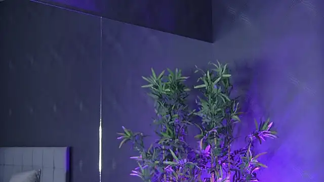 shayblonde online show from March 17, 2025, 1:08 pm